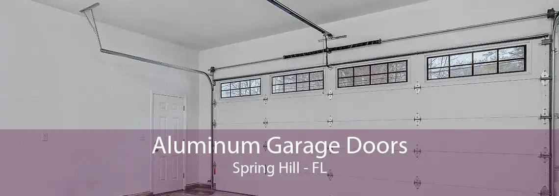 Aluminum Garage Doors Spring Hill - FL