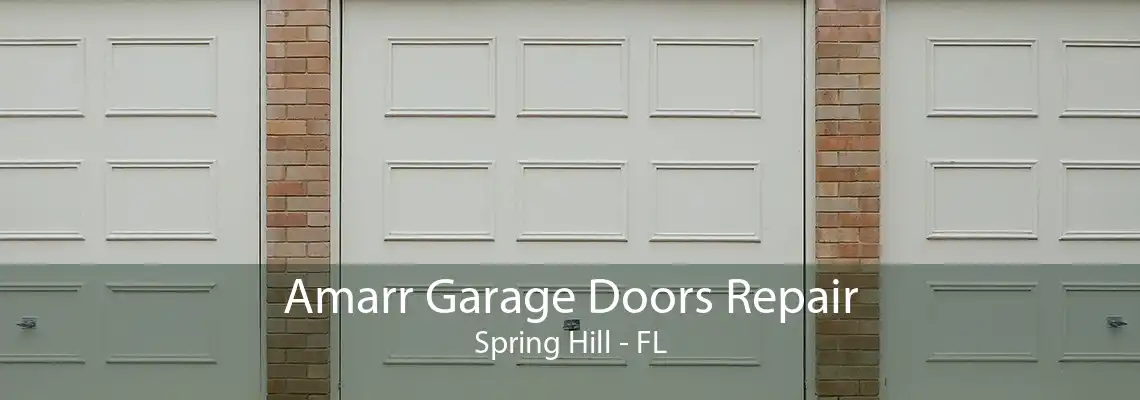 Amarr Garage Doors Repair Spring Hill - FL