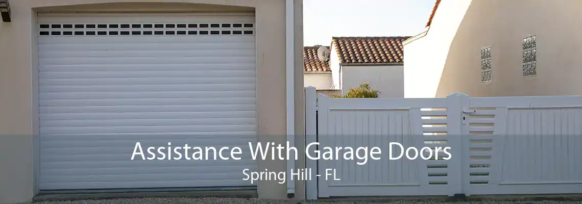 Assistance With Garage Doors Spring Hill - FL