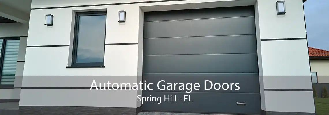 Automatic Garage Doors Spring Hill - FL