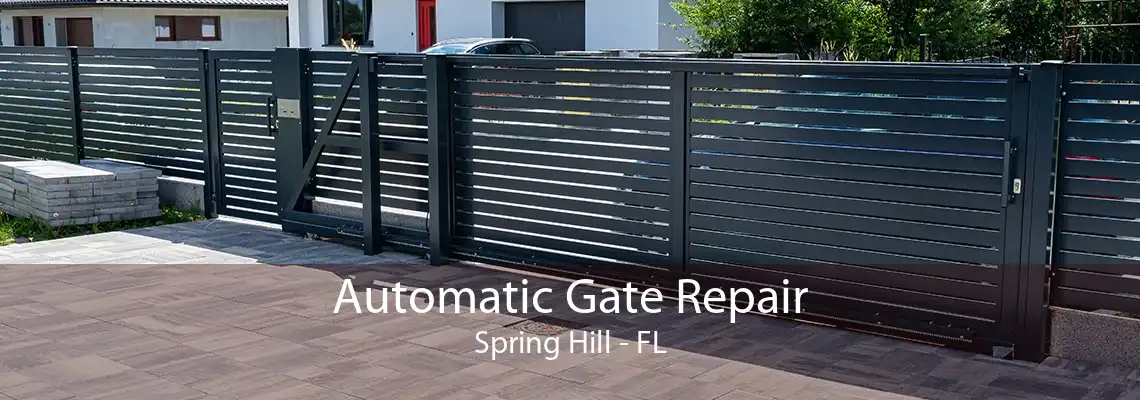 Automatic Gate Repair Spring Hill - FL