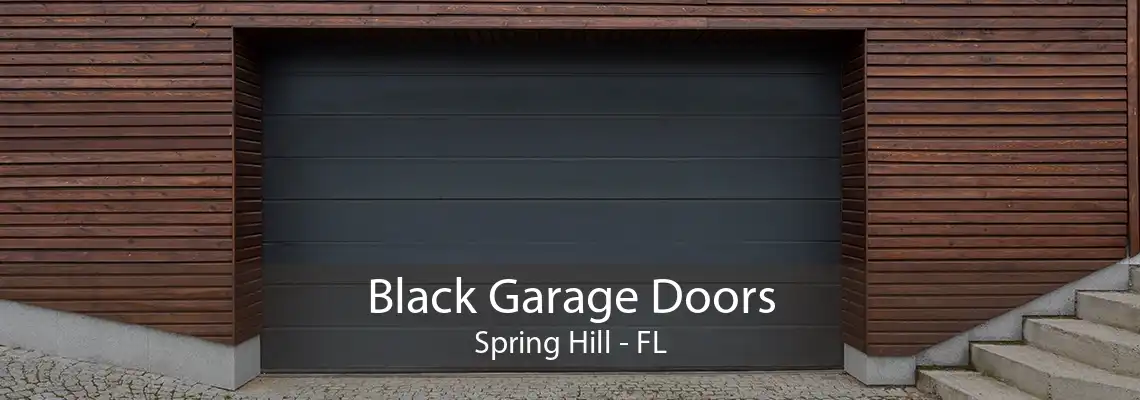 Black Garage Doors Spring Hill - FL