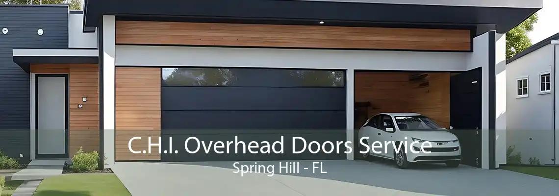 C.H.I. Overhead Doors Service Spring Hill - FL