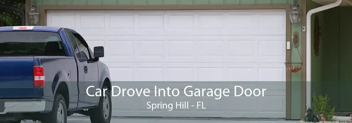 Car Drove Into Garage Door Spring Hill - FL