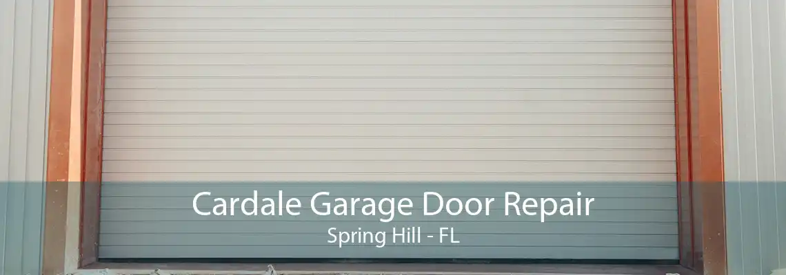 Cardale Garage Door Repair Spring Hill - FL