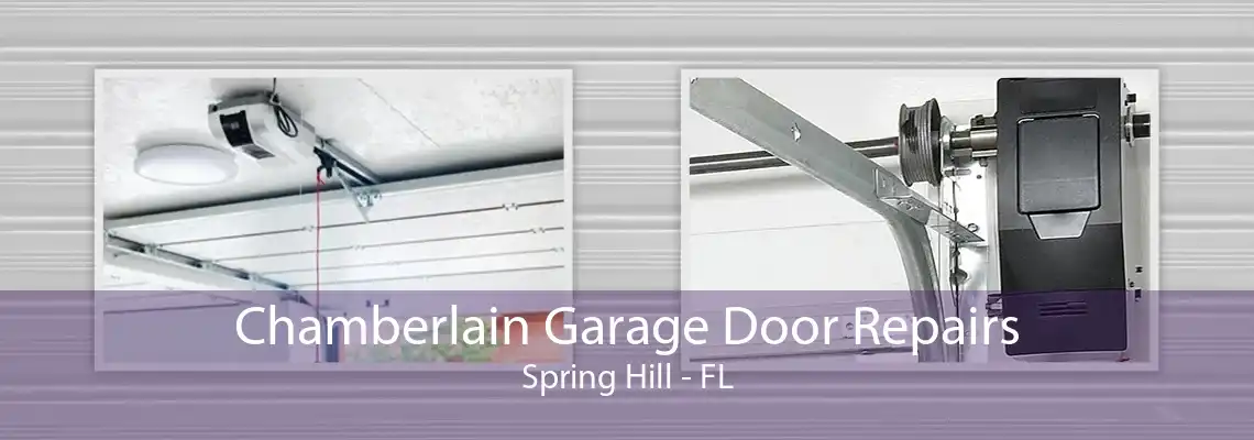 Chamberlain Garage Door Repairs Spring Hill - FL