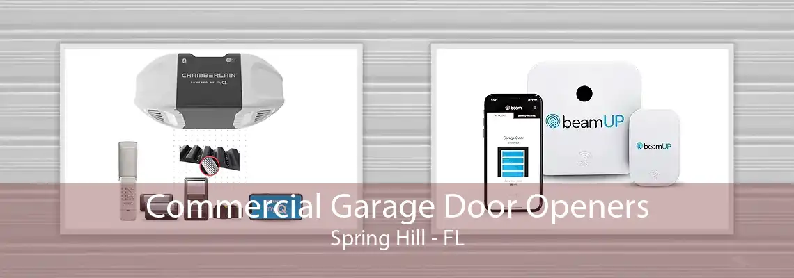 Commercial Garage Door Openers Spring Hill - FL