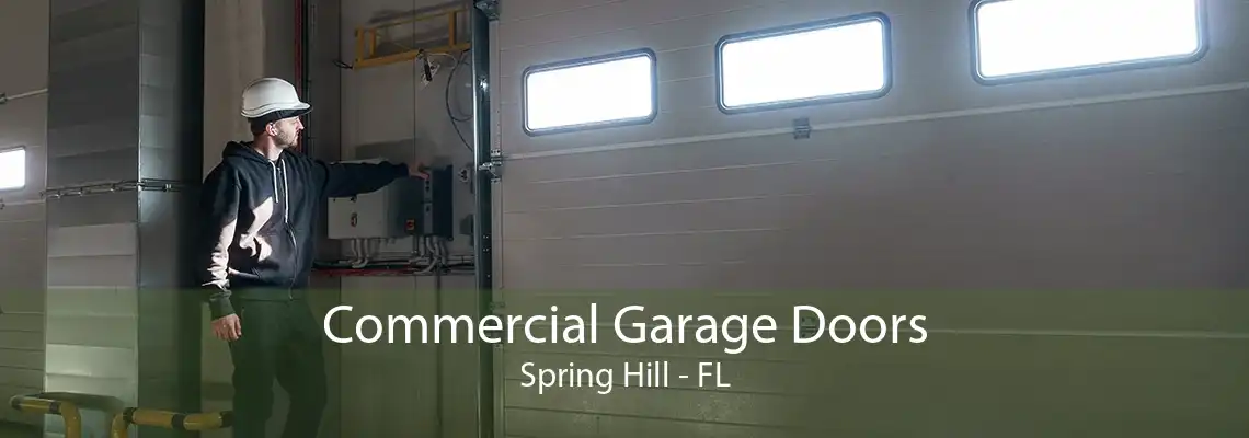 Commercial Garage Doors Spring Hill - FL