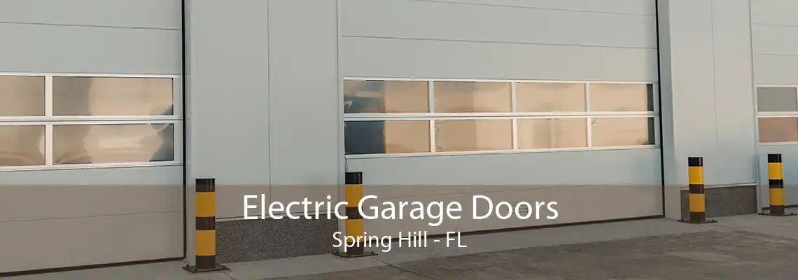 Electric Garage Doors Spring Hill - FL