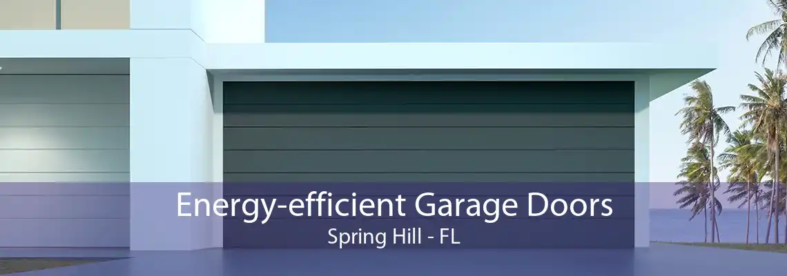 Energy-efficient Garage Doors Spring Hill - FL