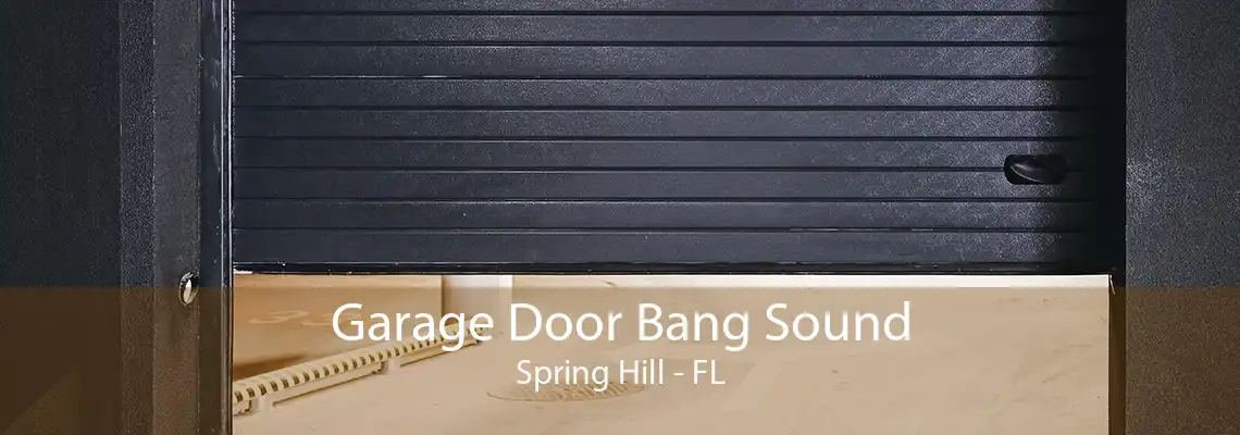 Garage Door Bang Sound Spring Hill - FL