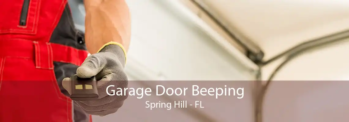 Garage Door Beeping Spring Hill - FL