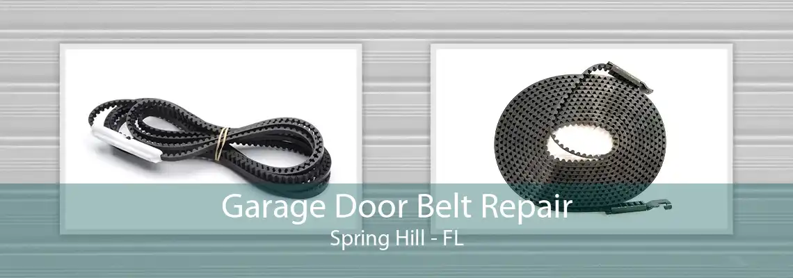 Garage Door Belt Repair Spring Hill - FL