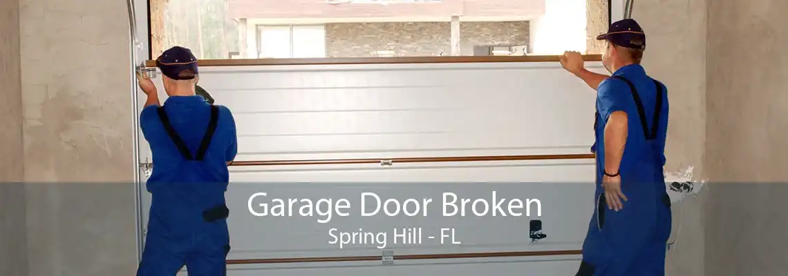 Garage Door Broken Spring Hill - FL