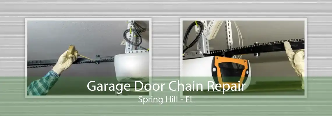 Garage Door Chain Repair Spring Hill - FL