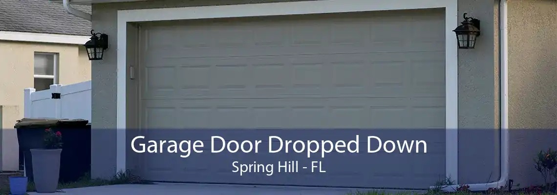 Garage Door Dropped Down Spring Hill - FL