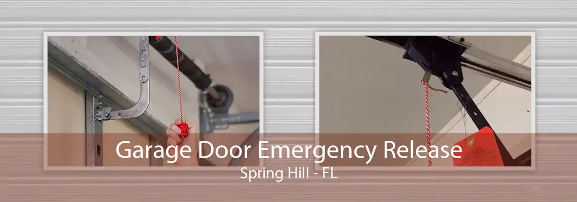 Garage Door Emergency Release Spring Hill - FL