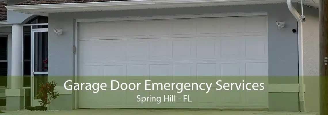 Garage Door Emergency Services Spring Hill - FL