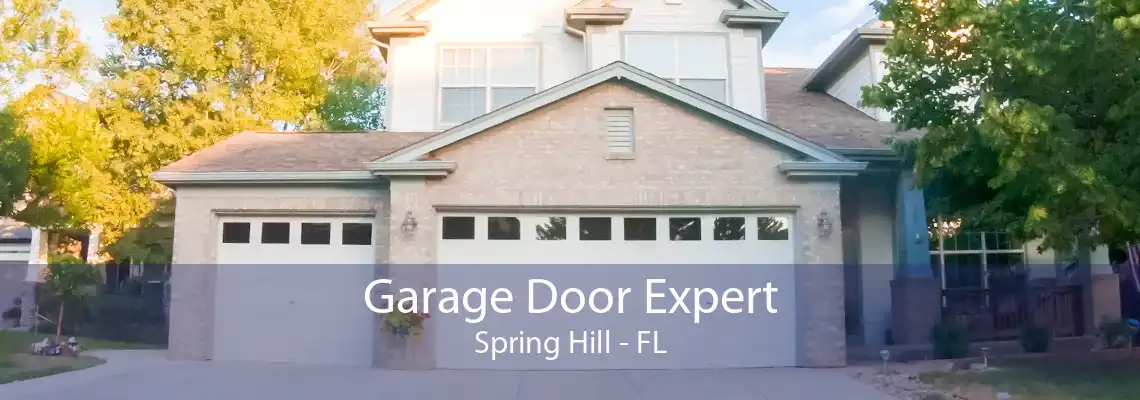 Garage Door Expert Spring Hill - FL