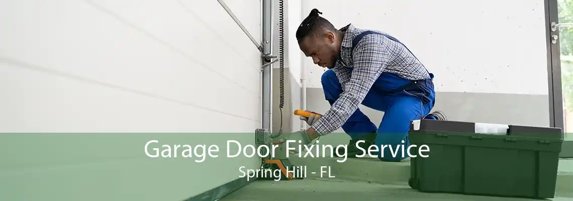 Garage Door Fixing Service Spring Hill - FL