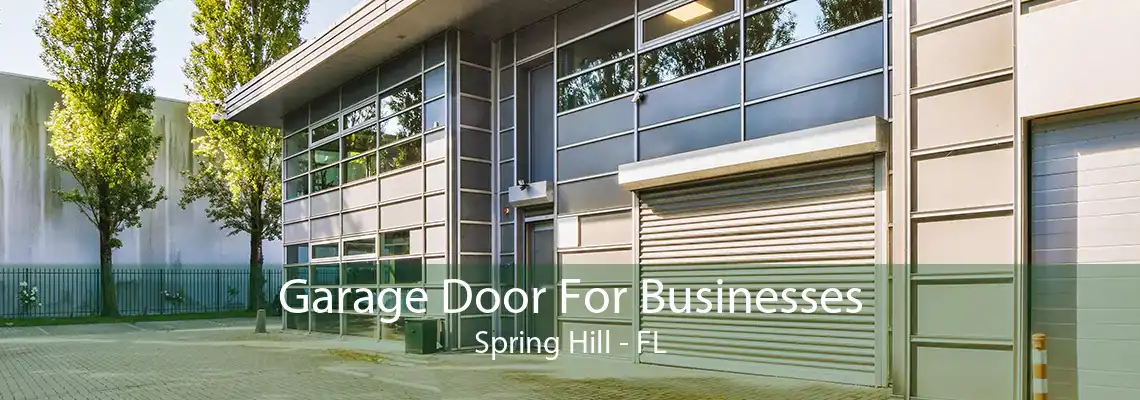 Garage Door For Businesses Spring Hill - FL