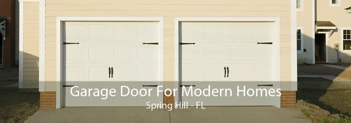 Garage Door For Modern Homes Spring Hill - FL