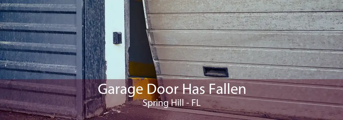 Garage Door Has Fallen Spring Hill - FL