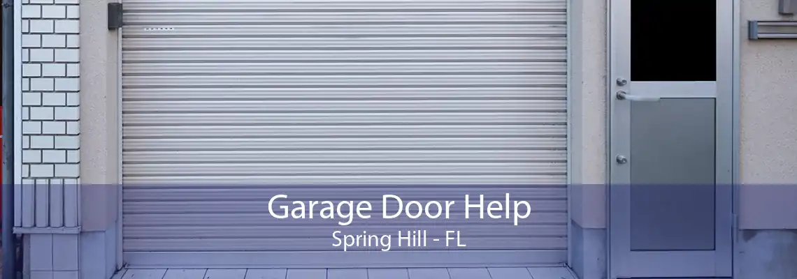 Garage Door Help Spring Hill - FL