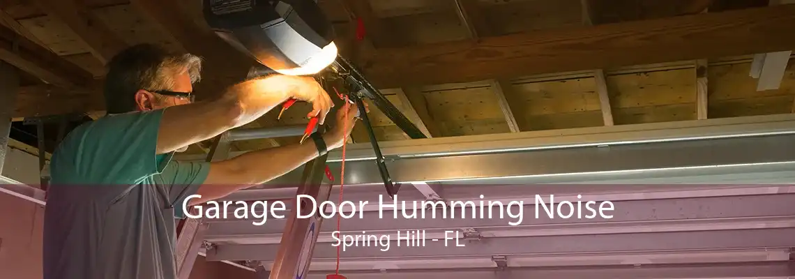 Garage Door Humming Noise Spring Hill - FL