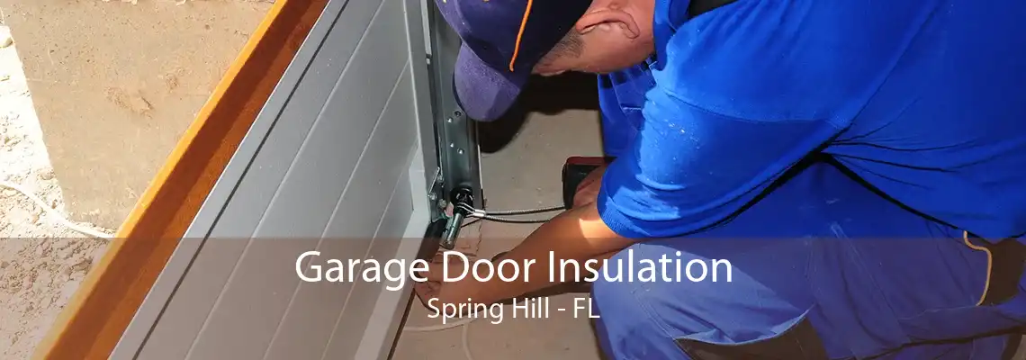 Garage Door Insulation Spring Hill - FL