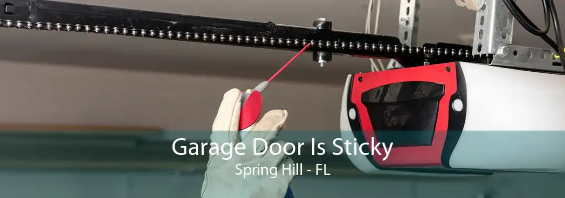 Garage Door Is Sticky Spring Hill - FL