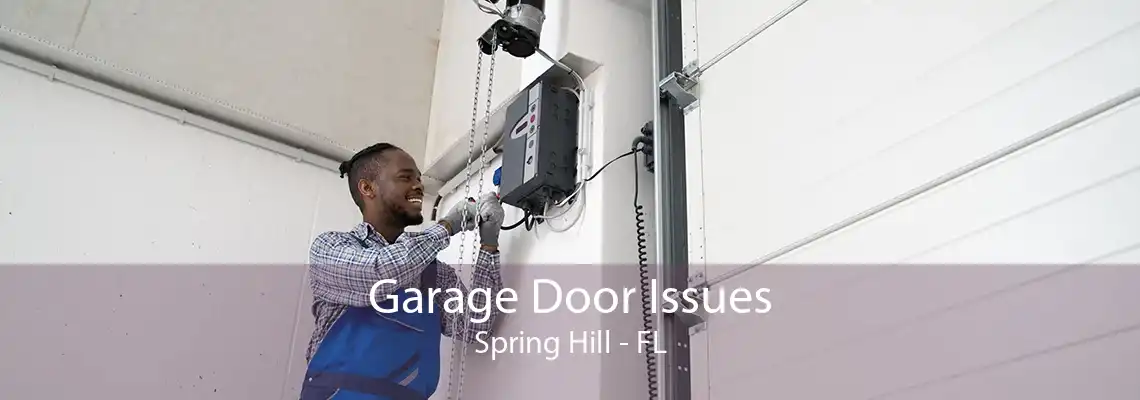 Garage Door Issues Spring Hill - FL