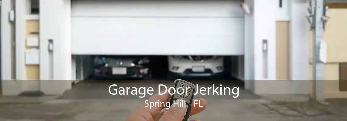 Garage Door Jerking Spring Hill - FL