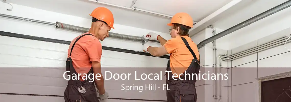 Garage Door Local Technicians Spring Hill - FL