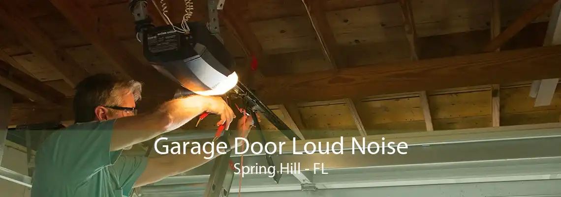 Garage Door Loud Noise Spring Hill - FL