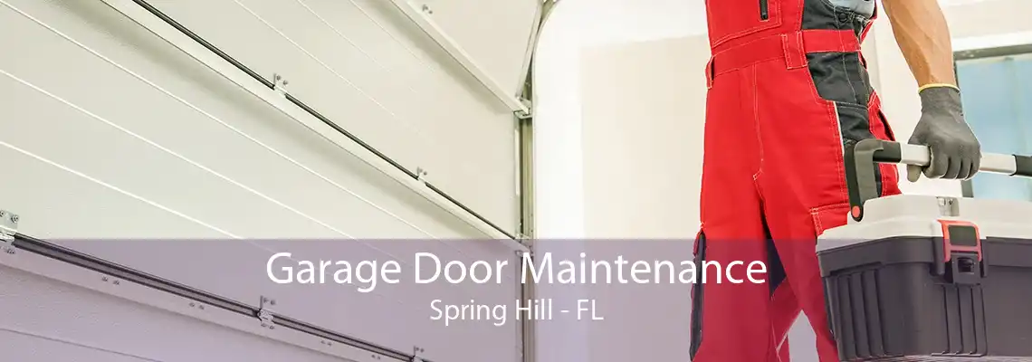 Garage Door Maintenance Spring Hill - FL