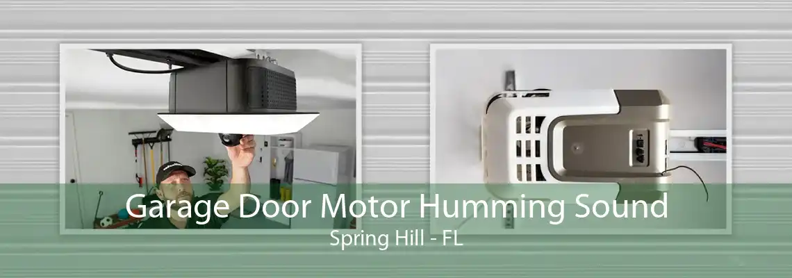 Garage Door Motor Humming Sound Spring Hill - FL