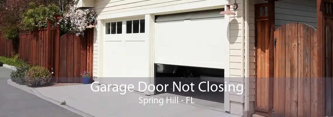 Garage Door Not Closing Spring Hill - FL