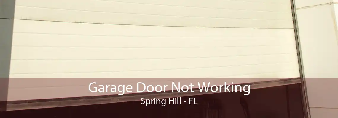 Garage Door Not Working Spring Hill - FL