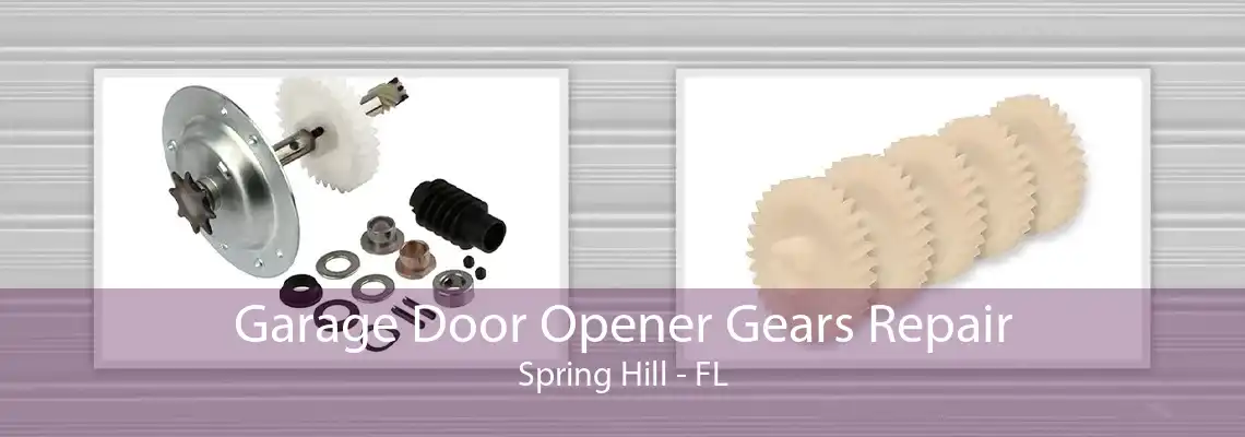 Garage Door Opener Gears Repair Spring Hill - FL