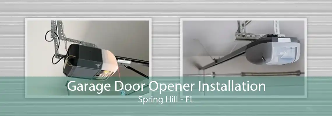 Garage Door Opener Installation Spring Hill - FL