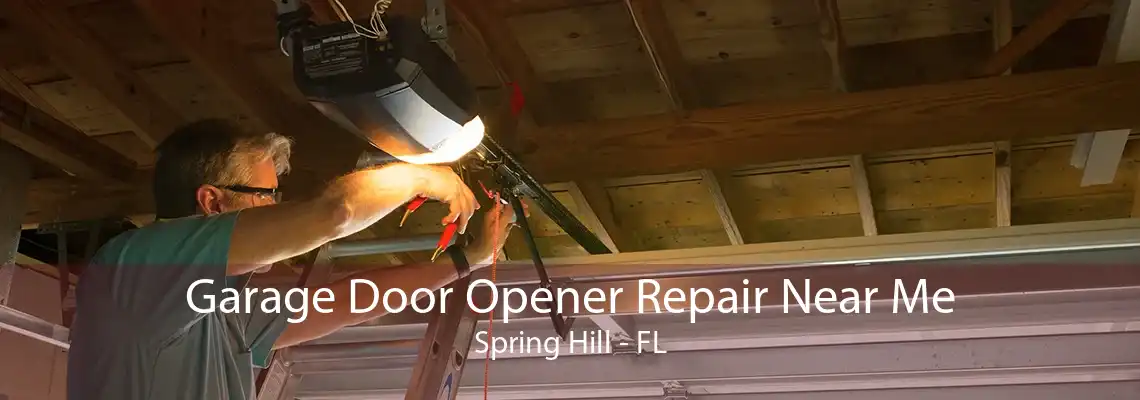 Garage Door Opener Repair Near Me Spring Hill - FL