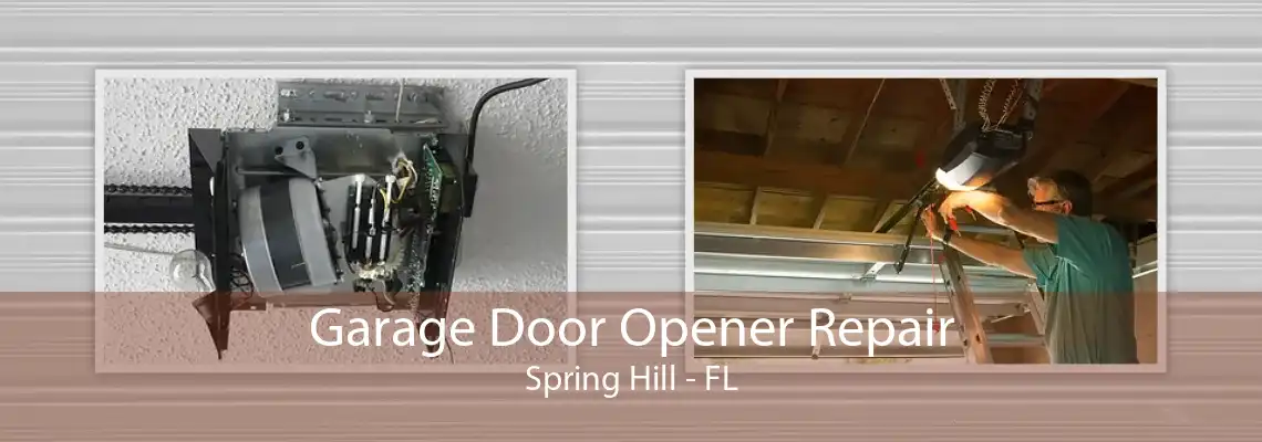 Garage Door Opener Repair Spring Hill - FL