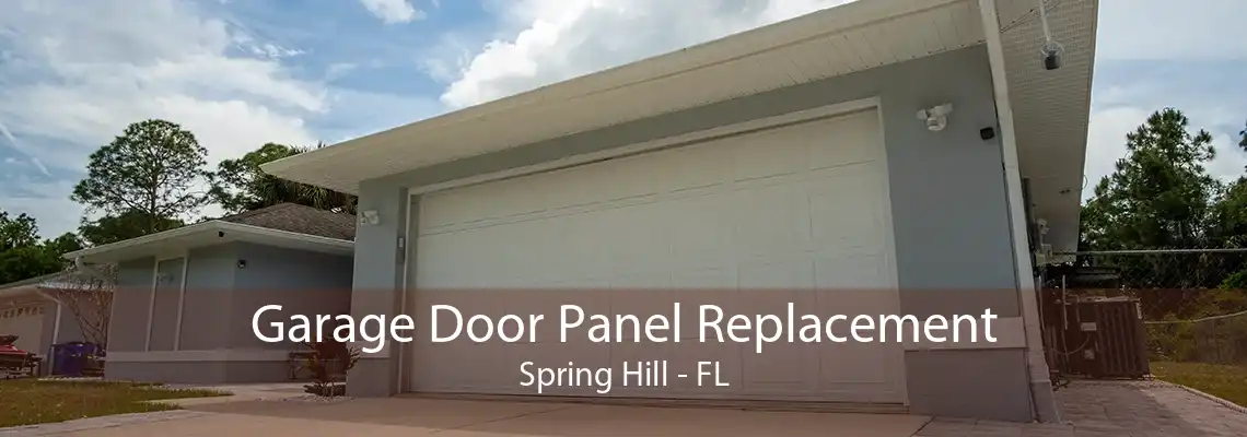 Garage Door Panel Replacement Spring Hill - FL