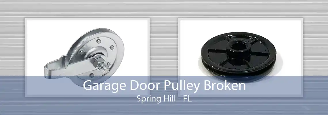 Garage Door Pulley Broken Spring Hill - FL