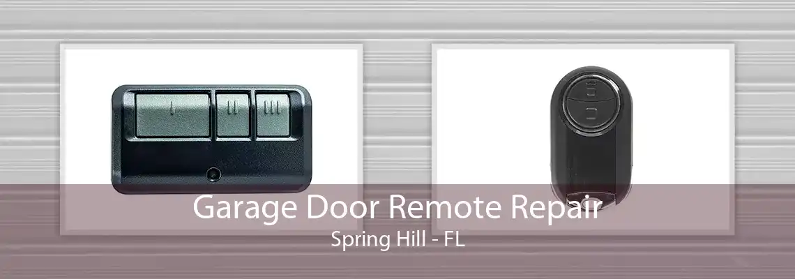 Garage Door Remote Repair Spring Hill - FL