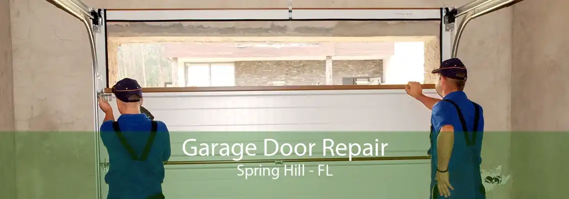 Garage Door Repair Spring Hill - FL