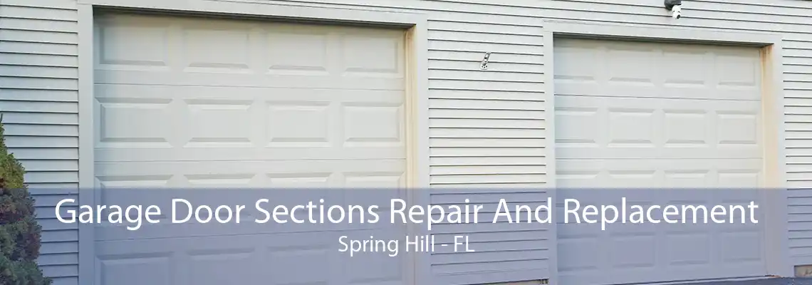 Garage Door Sections Repair And Replacement Spring Hill - FL