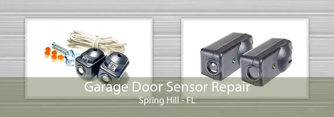 Garage Door Sensor Repair Spring Hill - FL