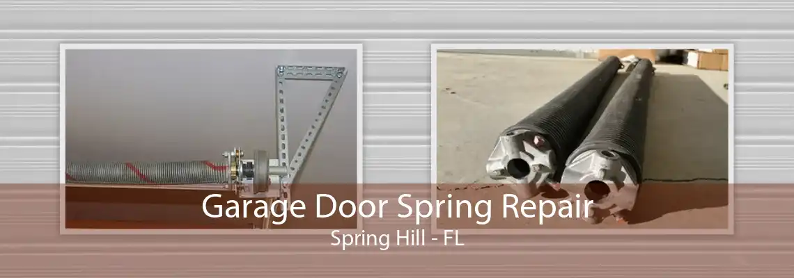 Garage Door Spring Repair Spring Hill - FL